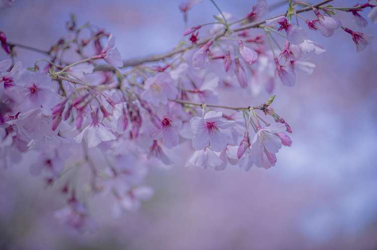 40/73 South Highway - Sovereign Pier Whitianga_11