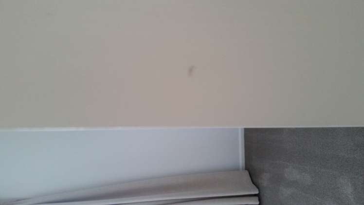 12a Solway Crescent Solway_11