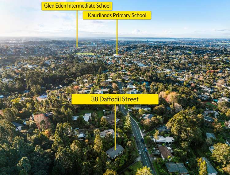 38 Daffodil Street Titirangi_17