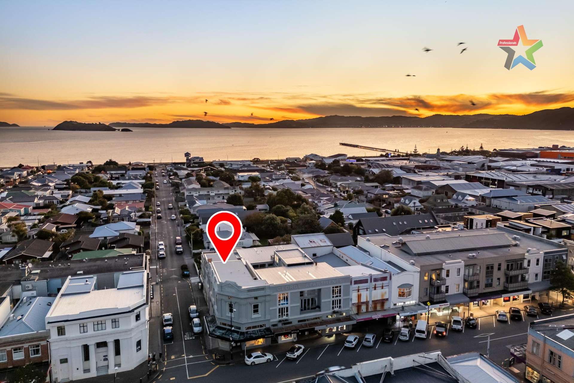 2/224 Jackson Street Petone_0