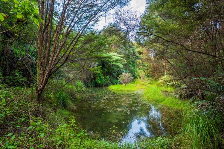 921 Pataua North Road Whareora_37