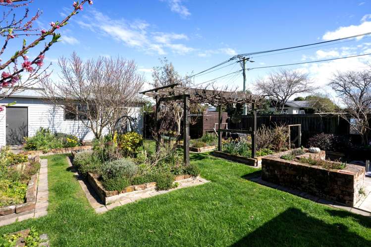 41 Selwyn Street Somerfield_25