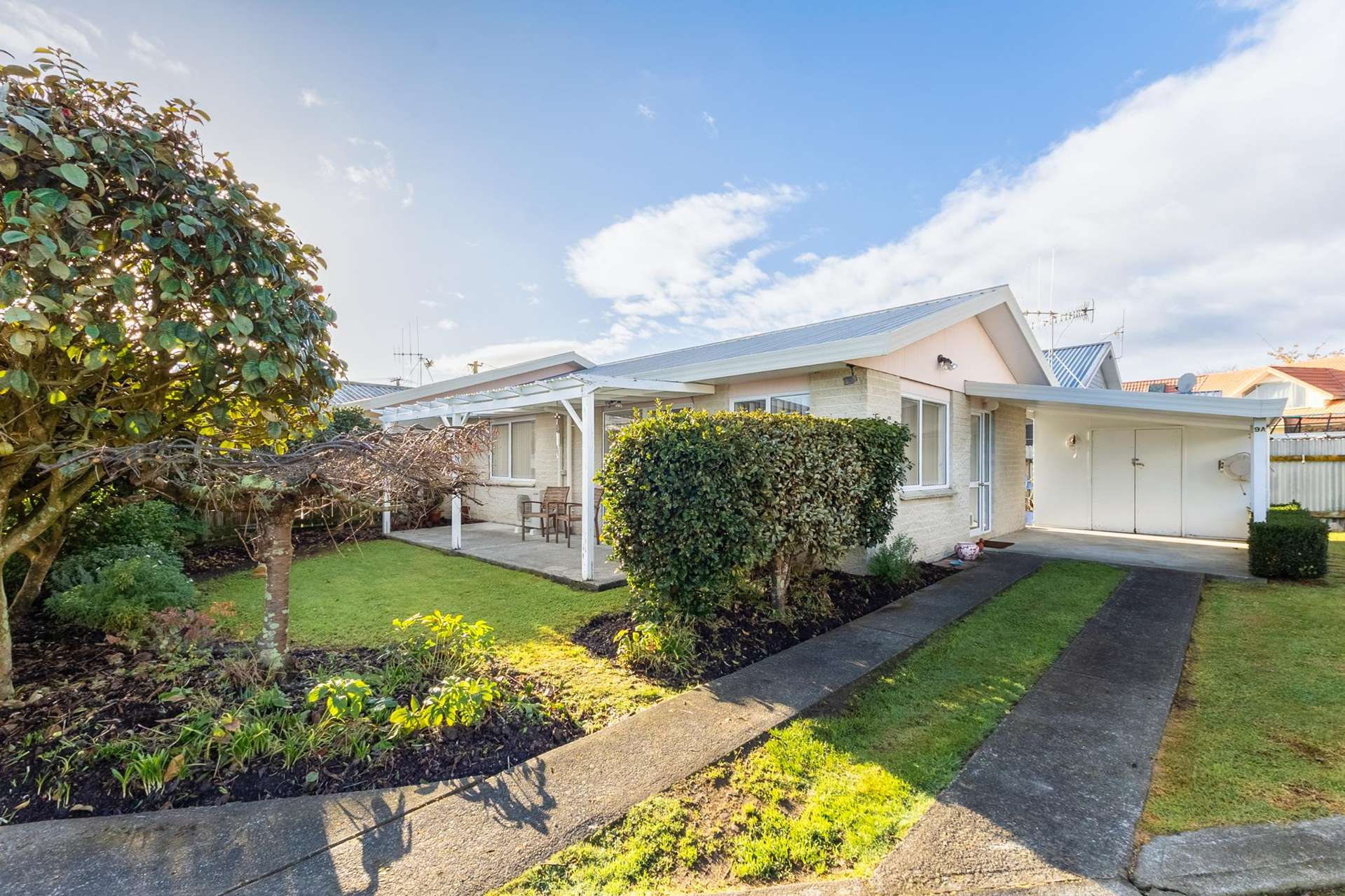 9a Saxton Street Levin_0