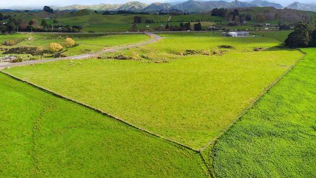 Lt 17 and 18 Matamau/Ormondville Road Dannevirke_2