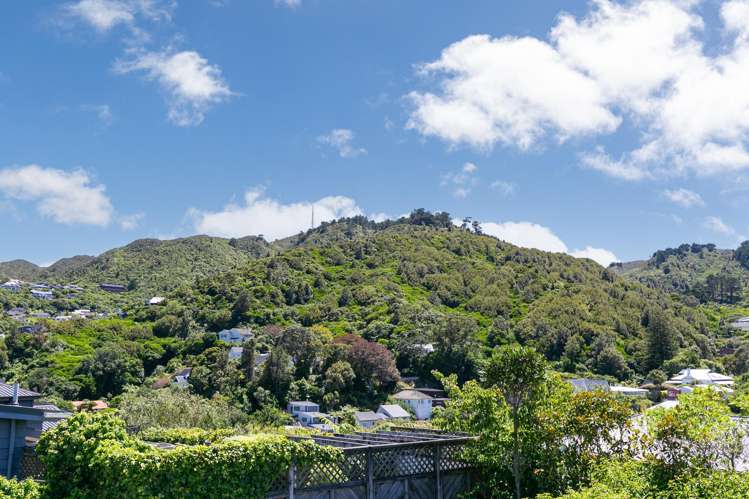 15 Lucknow Terrace Khandallah_13