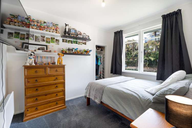 18 Akatarawa Road Brown Owl_10