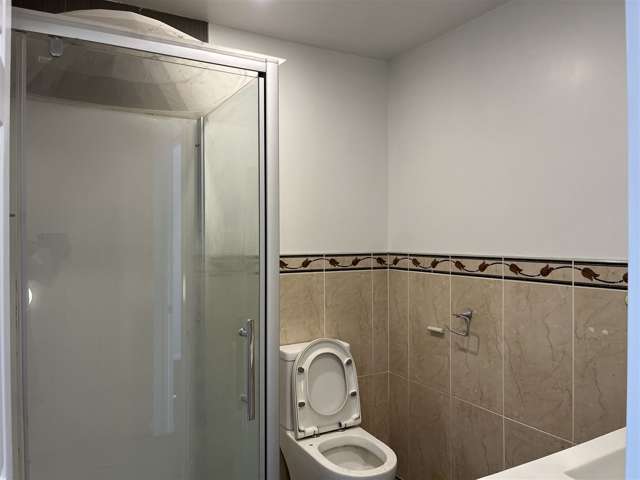 3c Exmouth Street Eden Terrace_4