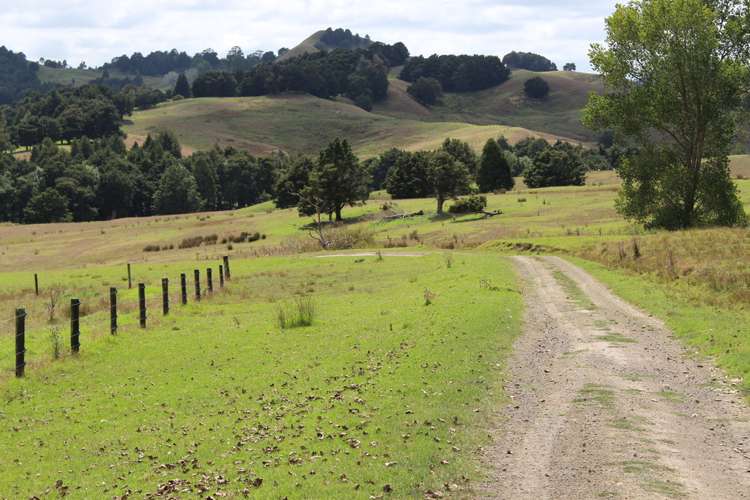 Aponga Road Ruatangata_9