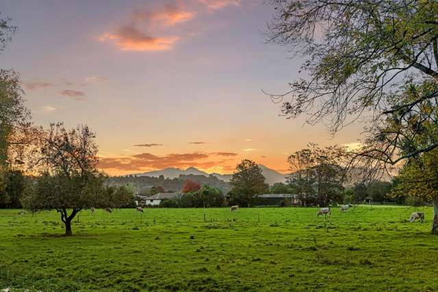 584 Orari Station Road Geraldine_4