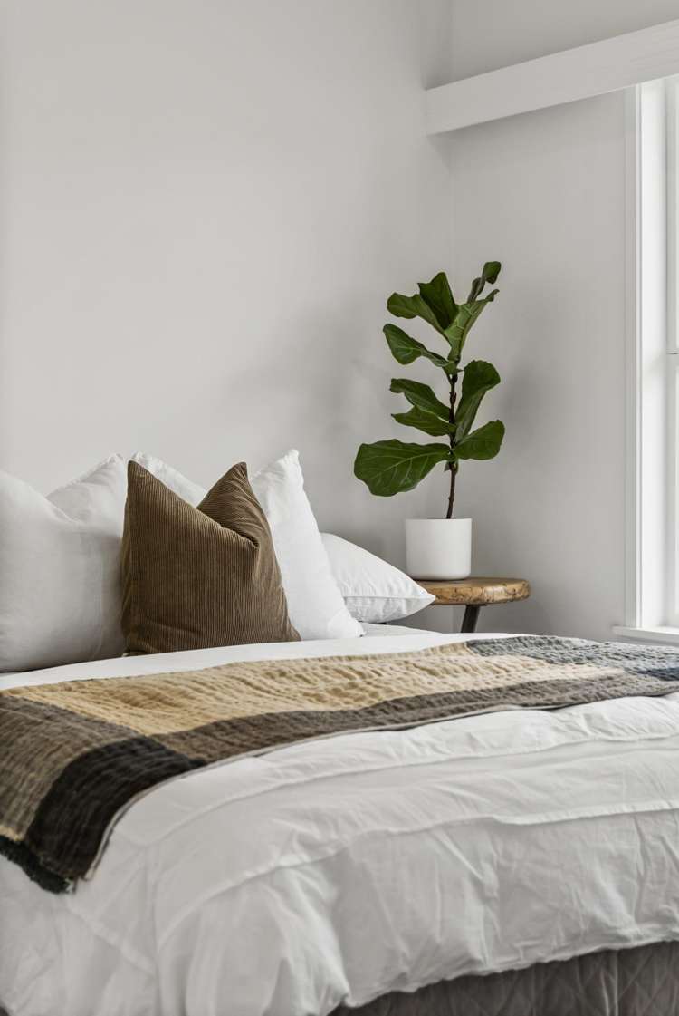 2/12 Dominion Street Takapuna_8