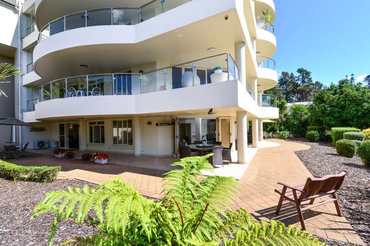 40i Thackeray Street Hamilton Lake_0