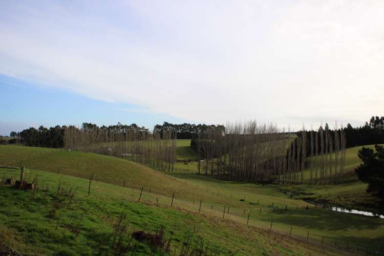 118 Old Port Road Catlins Surrounds_8