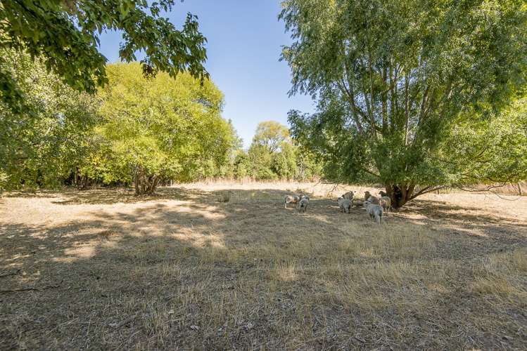 21 Goulds Road Springston_20