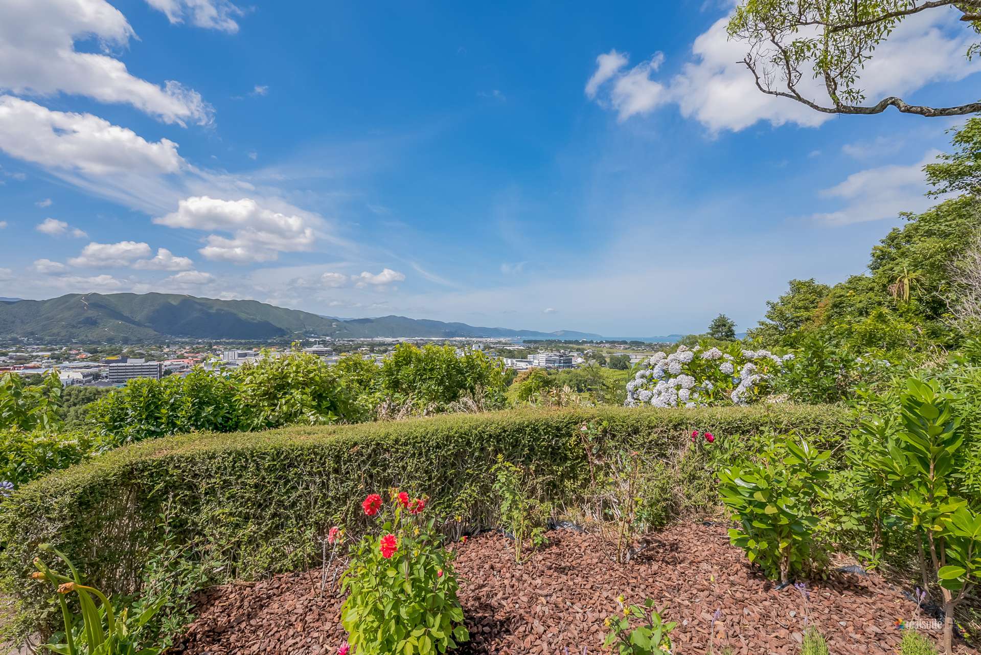 17 Harbour View Road Harbour View_0