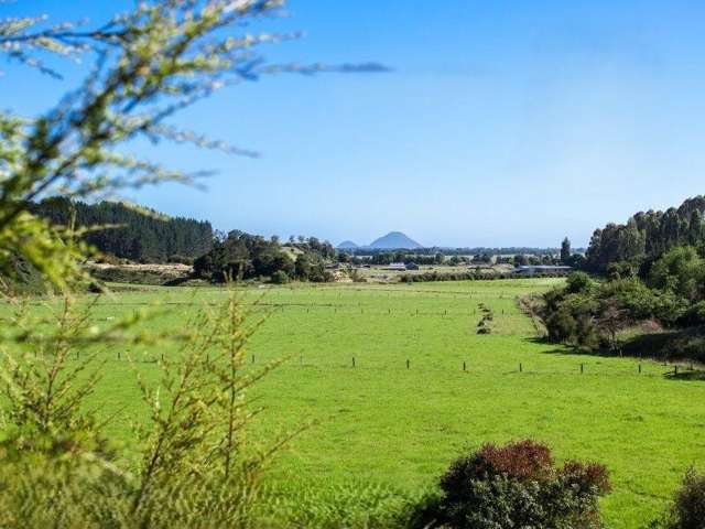 146A Murphy Road Awakeri_3