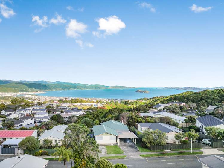 20 Reese Jones Grove Maungaraki_3