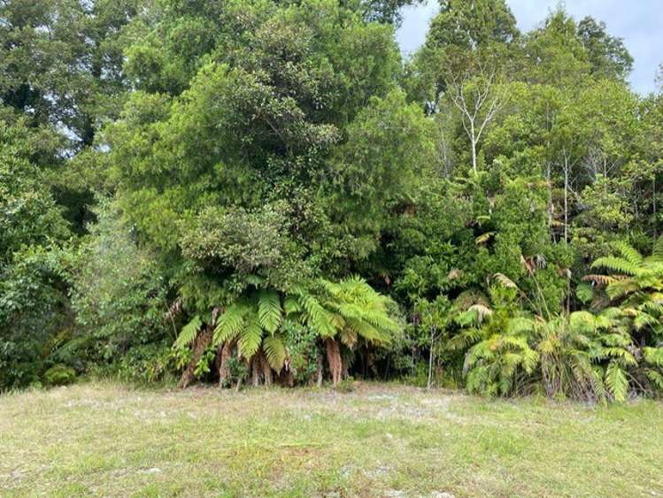 5 Mokihinui Preserve Seddonville_13