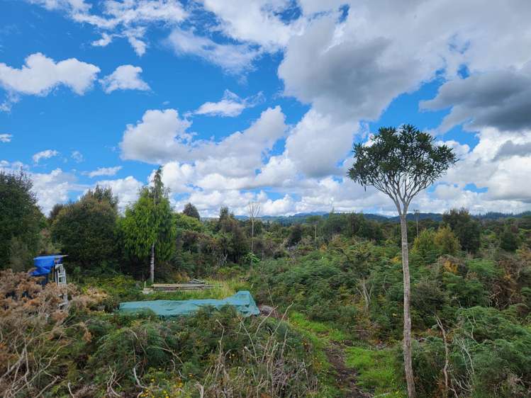 240 Maori Creek Road Marsden_6