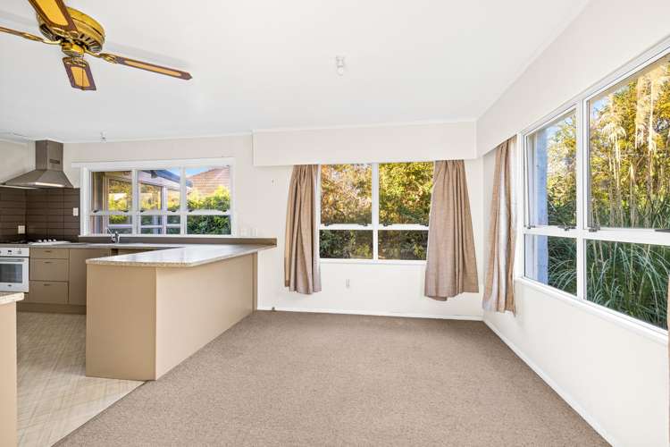 17 Falls Street Warkworth_7
