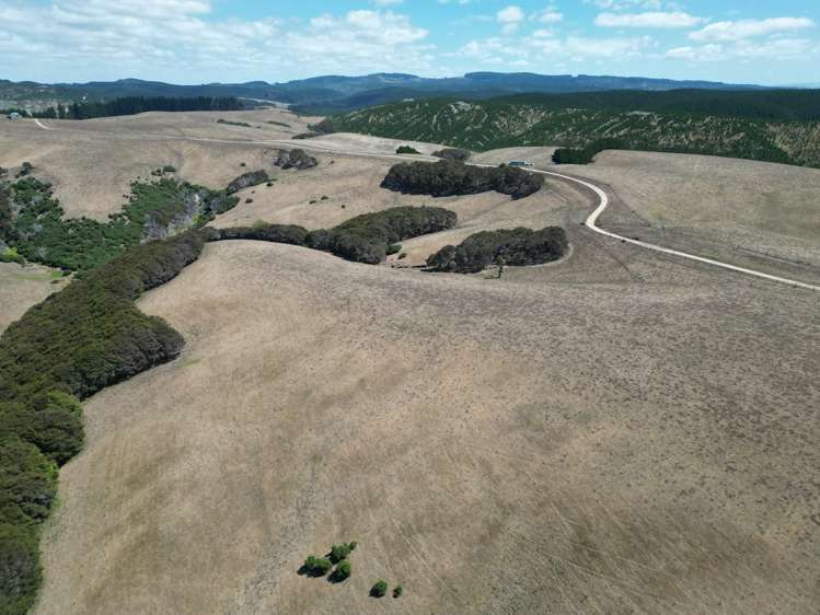 Toko Mouth Road Toko Mouth_6