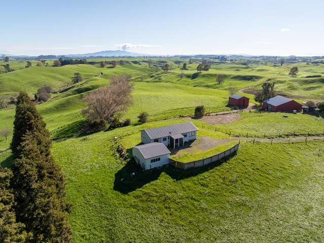 2005 Old Taupo Road Wiltsdown_4