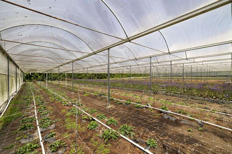 18 Lathrope Road Riverhead_17