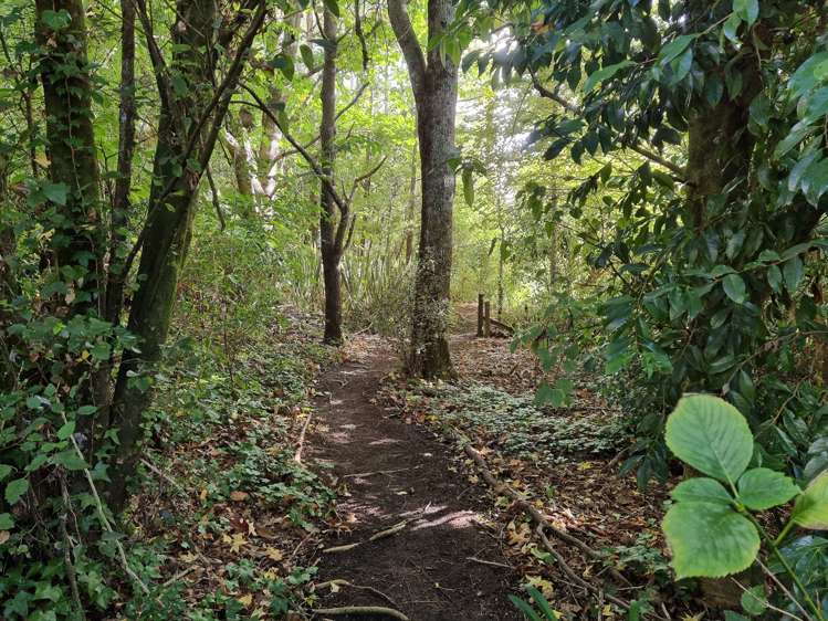 844 Paradise Valley Road Ngongotaha Valley_20