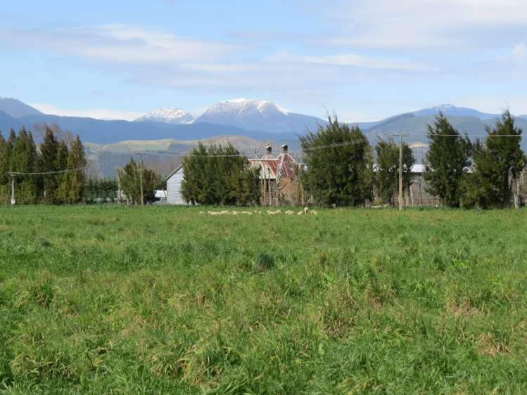 120 Palmer Road Brightwater_4