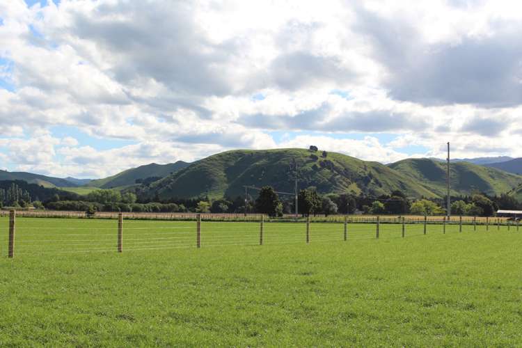 1562 State Highway 2 Kiriwhakapapa_17