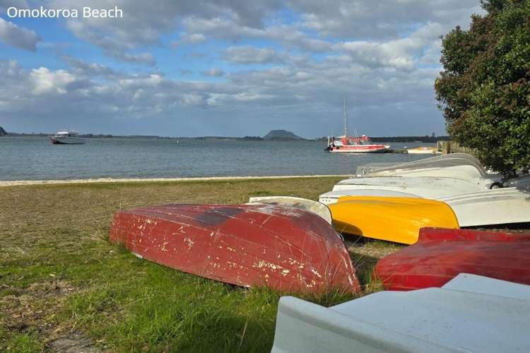 61 Bert Wall Drive Omokoroa_15