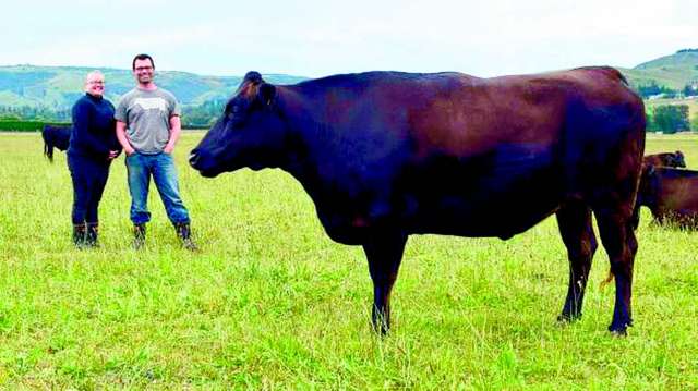 Couple: Happy cows, happy meat