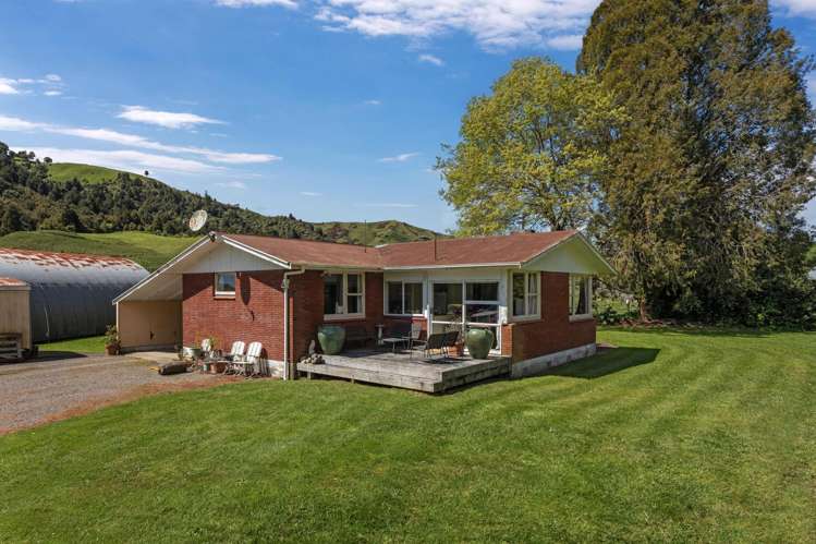 2338 State Highway 2 Opotiki_5