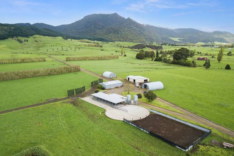 1369 Te Aroha-Gordon Road Manawaru_15