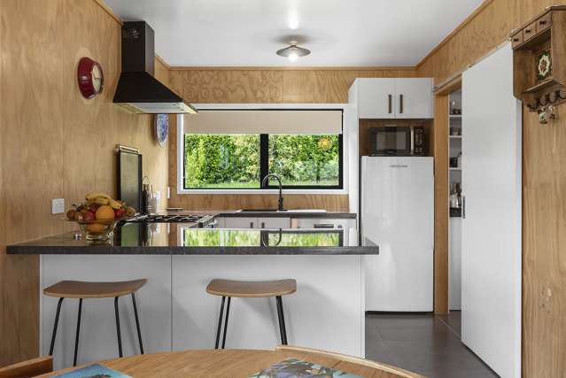 37 Whitaker Street Te Aroha_2