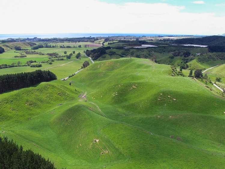 519 Otamarakau Valley Road Pukehina_0