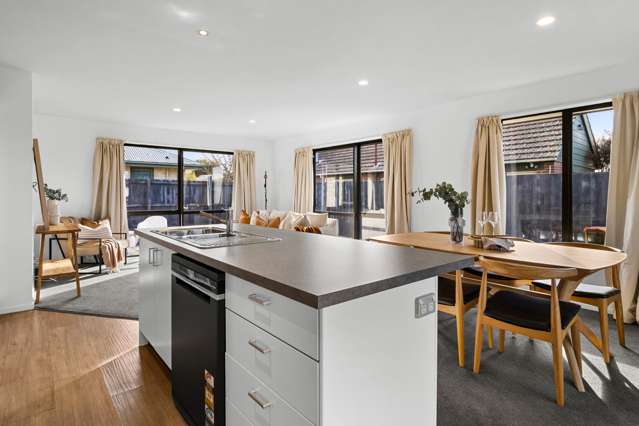 15 James Street Allenton_4