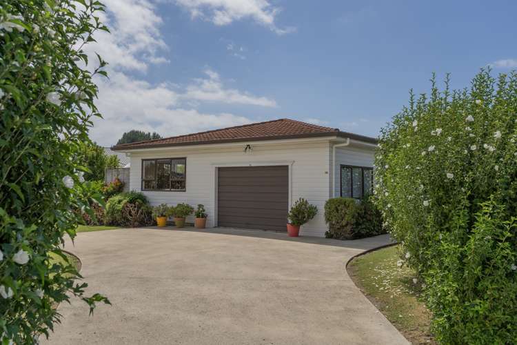 26 Springbok Ave Whitianga_20