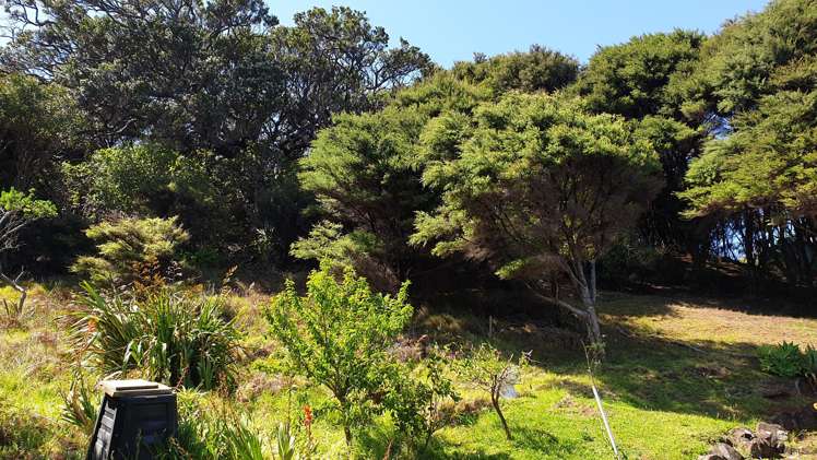 38a Blackwell Drive Great Barrier Island_9