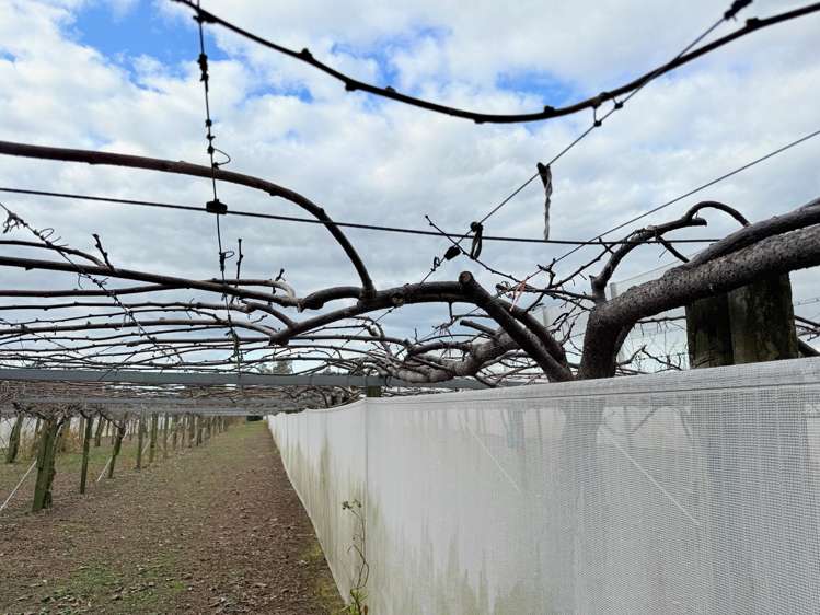 881B Te Matai Road Te Puke_12