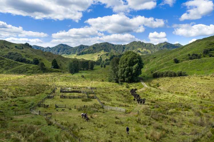 1221 Waitewhena Road Taumarunui_23