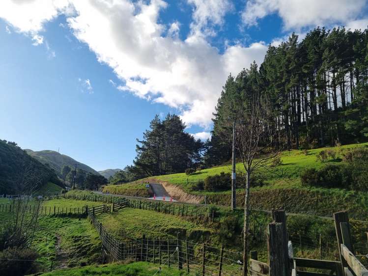 186 Stratton Street Normandale_2