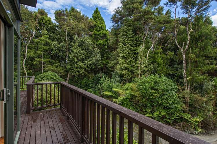 132 Mt Tiger Road Whareora_25
