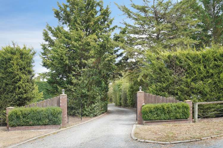 81 Mount Thomas Road Fernside_18