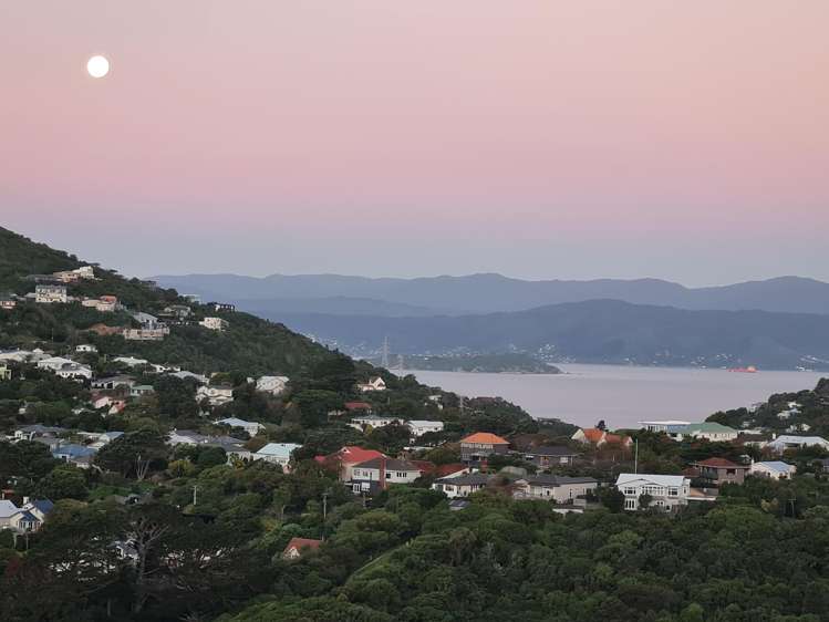 5 Cavalry Close Crofton Downs_22