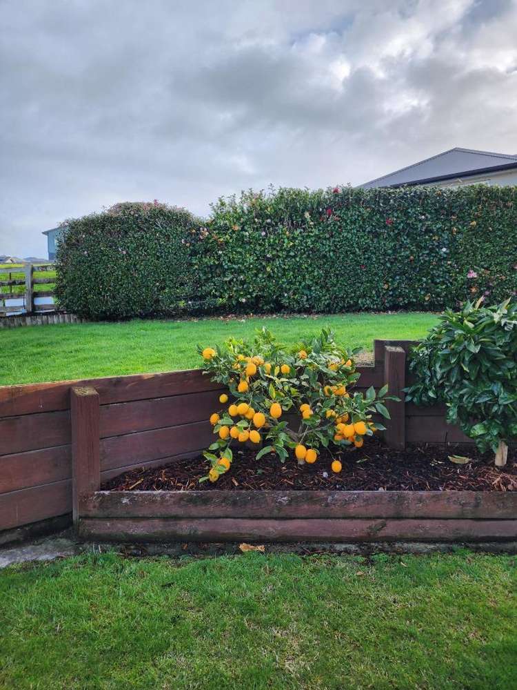 30 Hillcrest Street Tirau_21