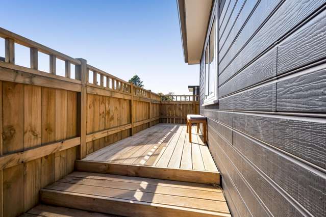 58b Matai Street Inglewood_2