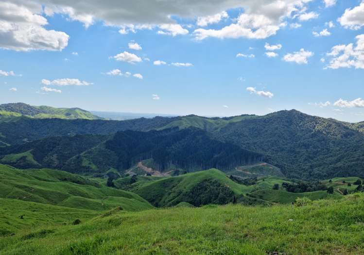 852 Mangawara Road Tahuna_18