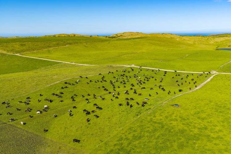 559 Mahuta Road Dargaville_32