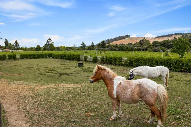 116 Sunnyside Road Coatesville_18