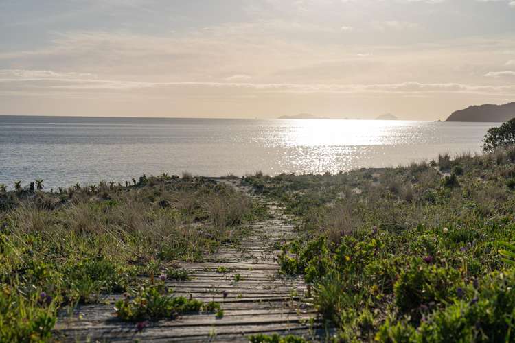 92 Ocean Beach Road Tairua_22